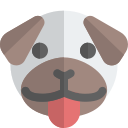 animal icon