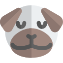 animal icon