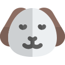 animal icon