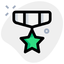 estrella icon