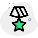 estrella icon