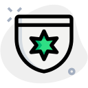 estrella icon