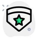 estrella icon