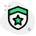 blindaje icon