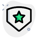 estrella icon