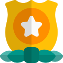 blindaje icon