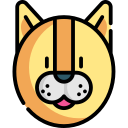 Gato icon