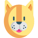 Gato icon