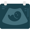 Ultrasonido icon