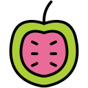 guayaba icon