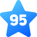 95 icon