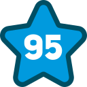 95 icon