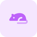 ratón icon