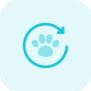 animal 
