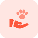 animal 