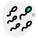 médico icon