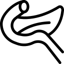 인간 