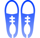 zapato icon