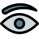 ojos icon