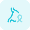 ruban icon