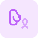 ruban icon