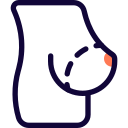 seios 