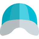 Шапка icon