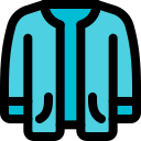 ropa icon