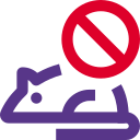 ratón icon