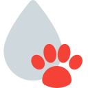 animal icon