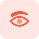 ojos icon