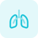 pulmones icon