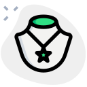 estrella icon