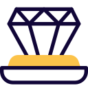 anillo icon