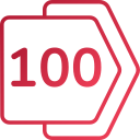 100 icon