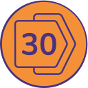 30 icon