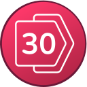 30 icon