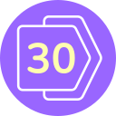 30 icon