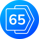 65 icon