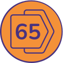 65 icon