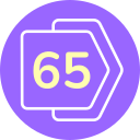 65 icon