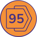 95 icon