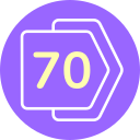 70 icon