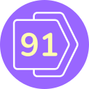 91 icon