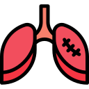 pulmones icon