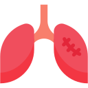 pulmones icon