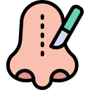 rinoplastia icon