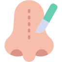 rinoplastia icon