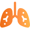 pulmones icon