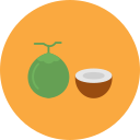 coco icon